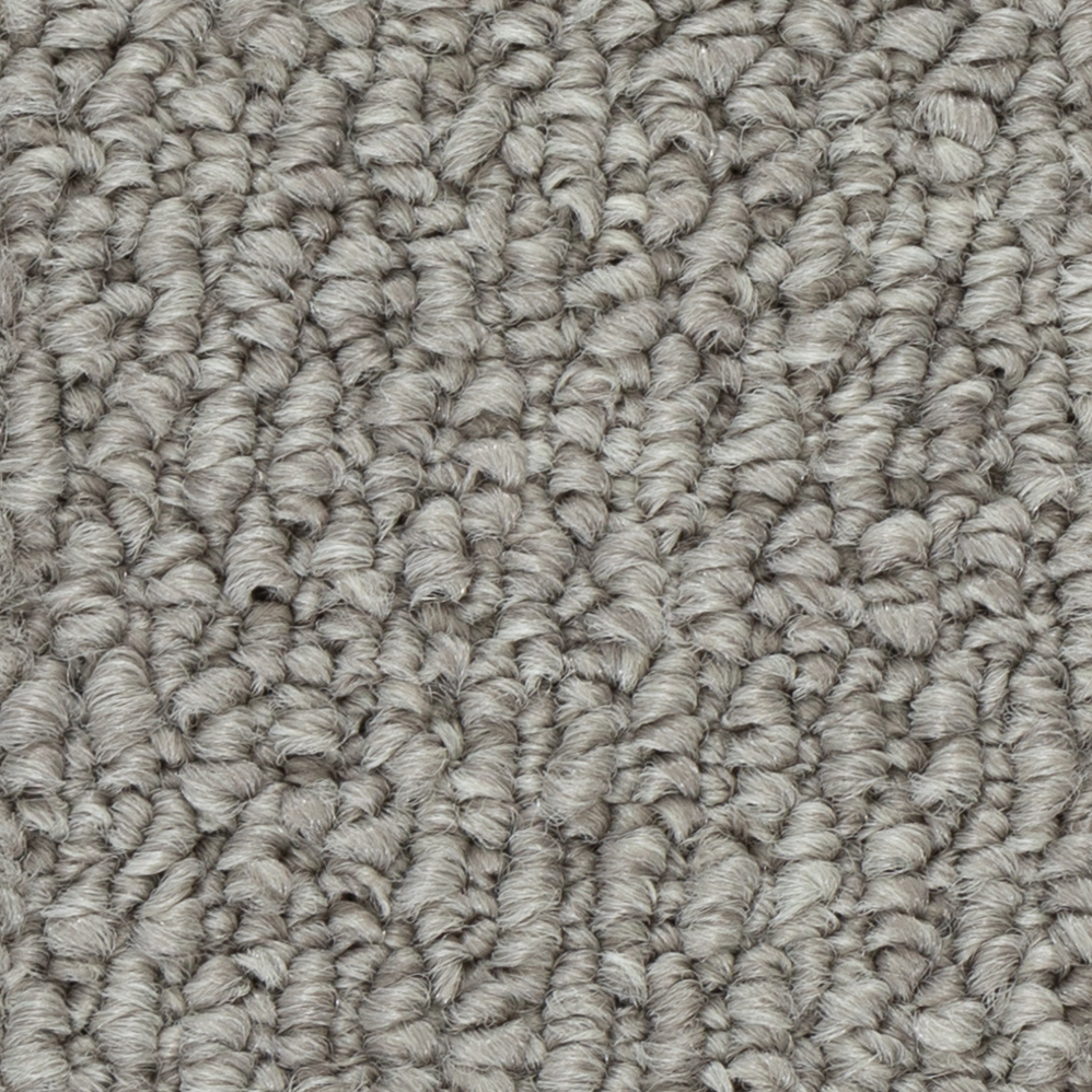 Broadloom Carpet Papilio II Windsor Grey 12' (Sold in Sqyd)
