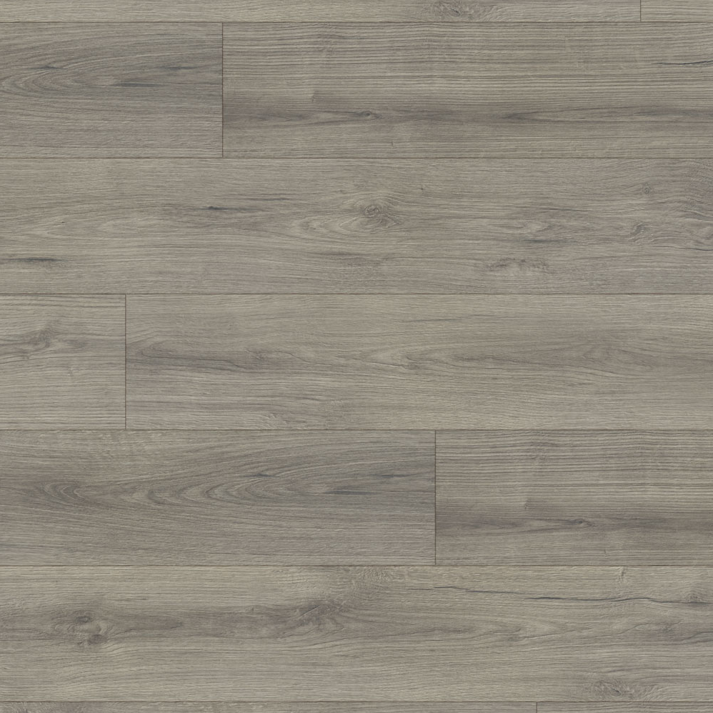 Laminate Flooring Conquest Ferdinand 7-5/8" x 54-7/16"