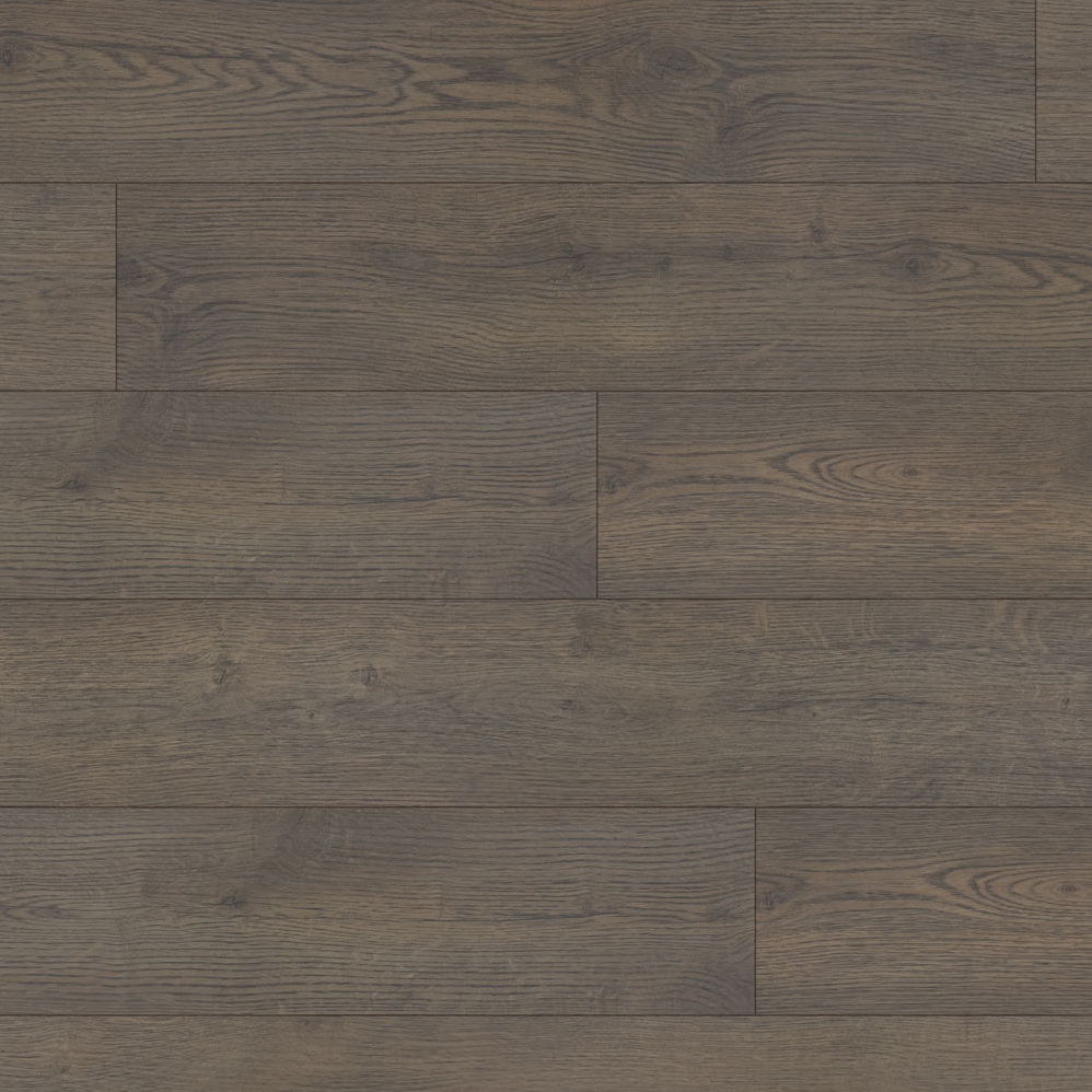 Laminate Flooring Conquest William 7-5/8" x 54-7/16"