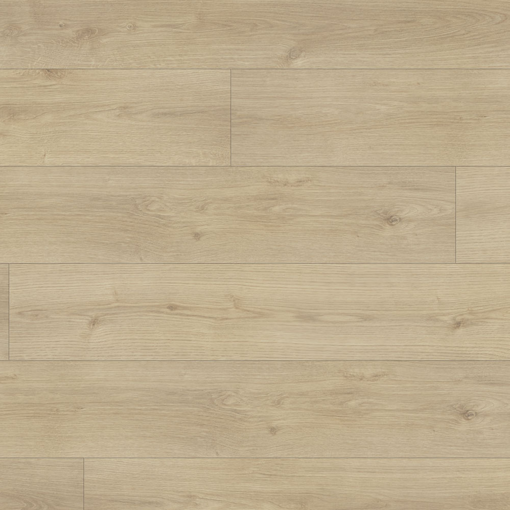 Laminate Flooring Conquest Xtra Barbarossa 7-5/8" x 54-7/16"
