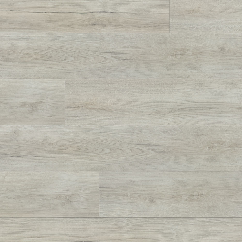 Laminate Flooring Conquest Xtra Edward 7-5/8" x 54-7/16"