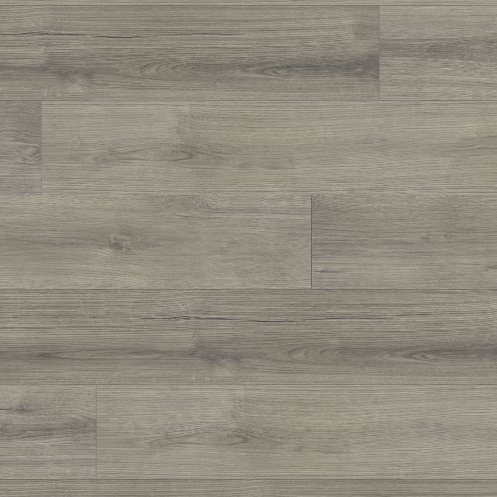 Laminate Flooring Conquest Xtra Ferdinand 7-5/8" x 54-7/16"