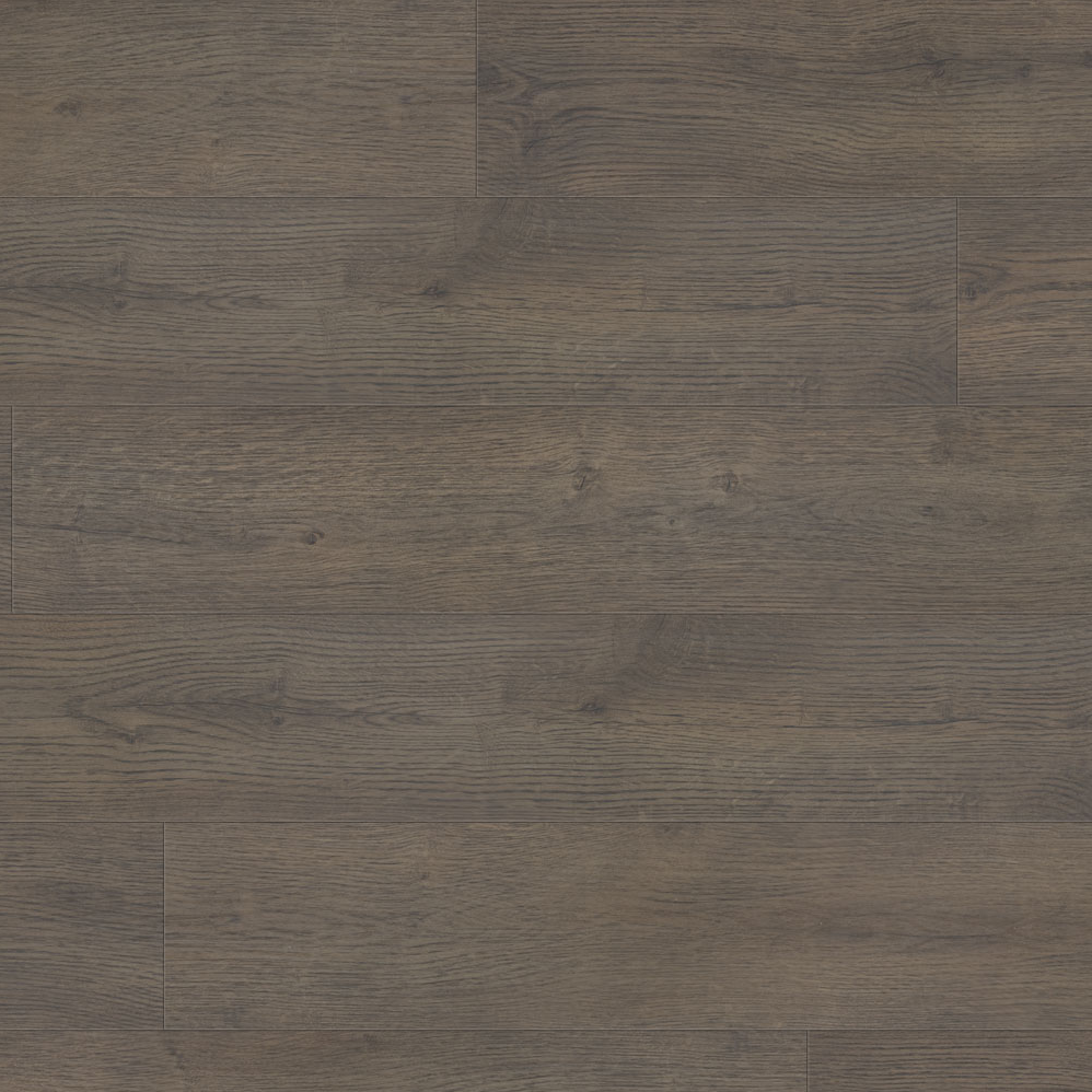 Laminate Flooring Conquest Xtra William 7-5/8" x 54-7/16"