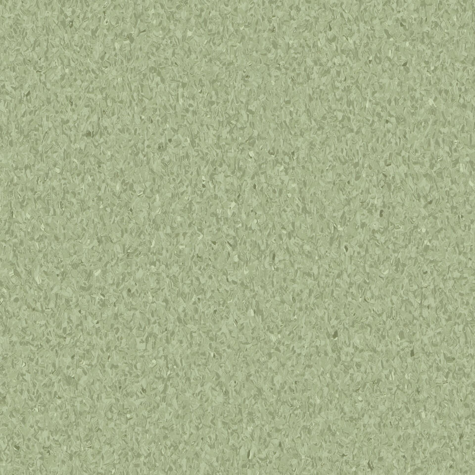 Homogenous Vinyl Roll iQ Granit Olive 6-1/2' - 2 mm (Sold in Sqyd)