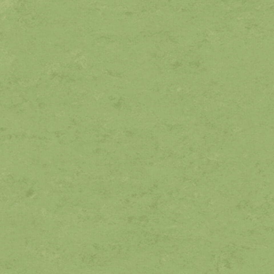 Feuille de linoléum Linofloor xf² Veneto Apple Green 6-1/2' - 2.5 mm (vendu en vg²)
