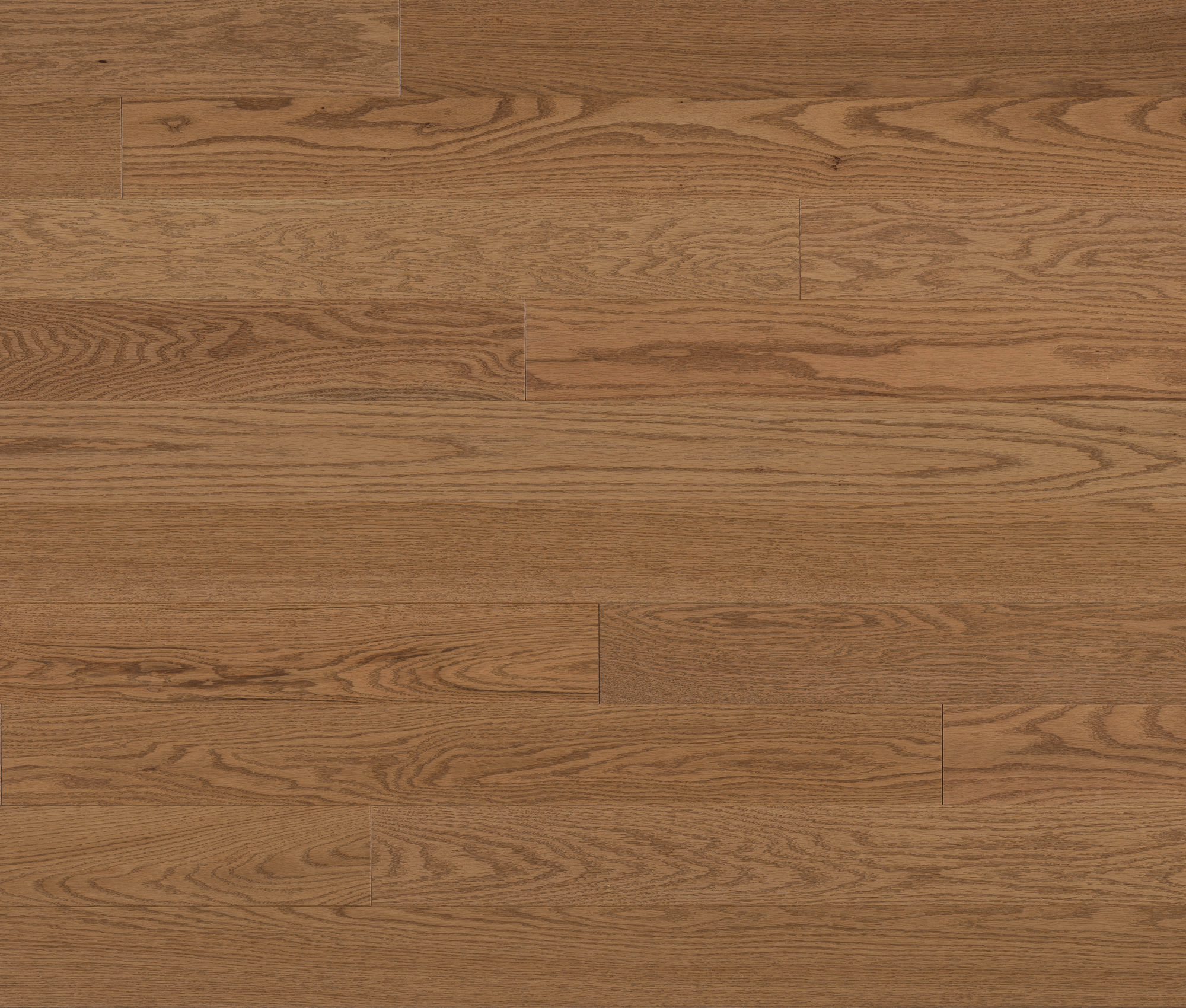 Lauzon Collection - Engineered Hardwood Moretti 3-1/4