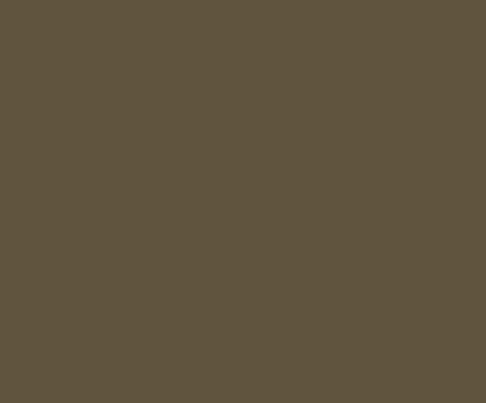 Linoleum Sheet LinoFloor xf² Originale #431 Clay 6-9/16' - 2.5 mm (Sold in Sqyd)