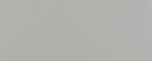 Wall Tiles Design Positive Cool Grey 02 Matte 8" x 20"