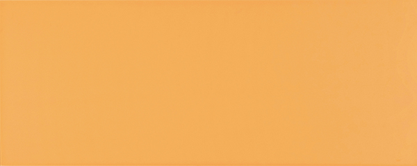 Wall Tiles Design Positive Curcuma 18 Matte 8" x 20"