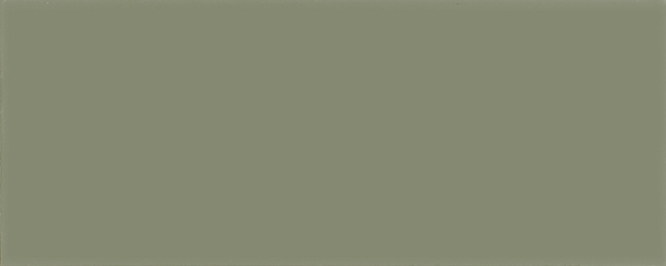 Wall Tiles Design Positive Lichen 14 Matte 8" x 20"