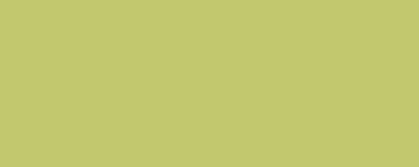 Wall Tiles Design Positive Vert Pistache 05 Matte 8" x 20"