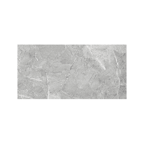 Floor Tiles Regency Mica Matte 12" x 24"
