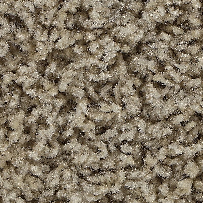 Broadloom Carpet Sp926 #01 12' x 135'