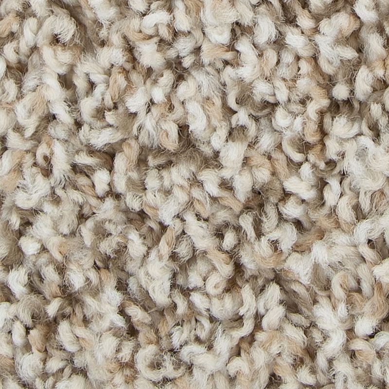 Broadloom Carpet Sp926 #08 12' x 135'
