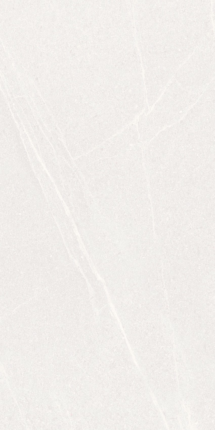 Floor Tiles Seine Blanco 12" x 24"