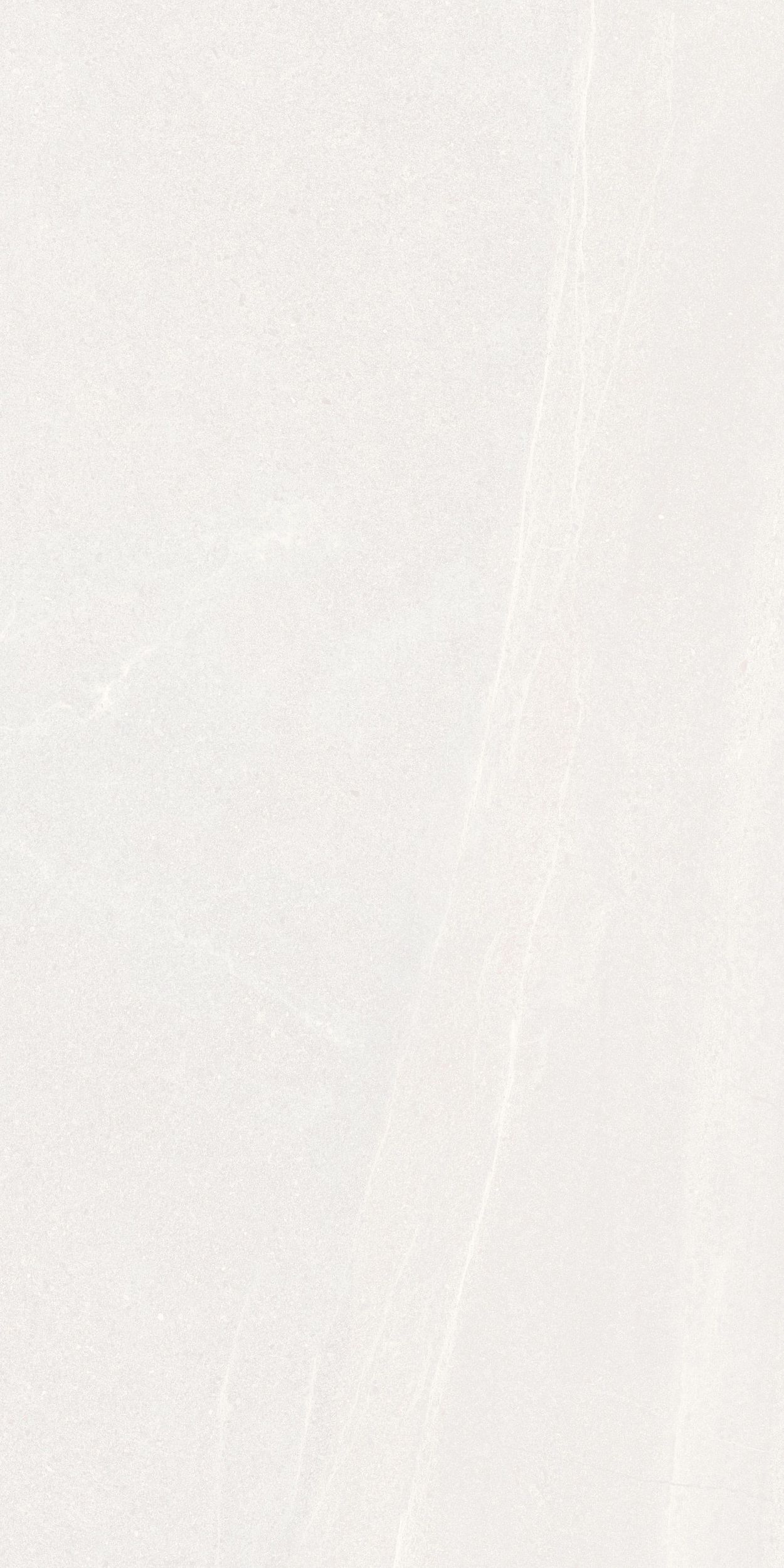 Floor Tiles Seine Blanco 24" x 48"