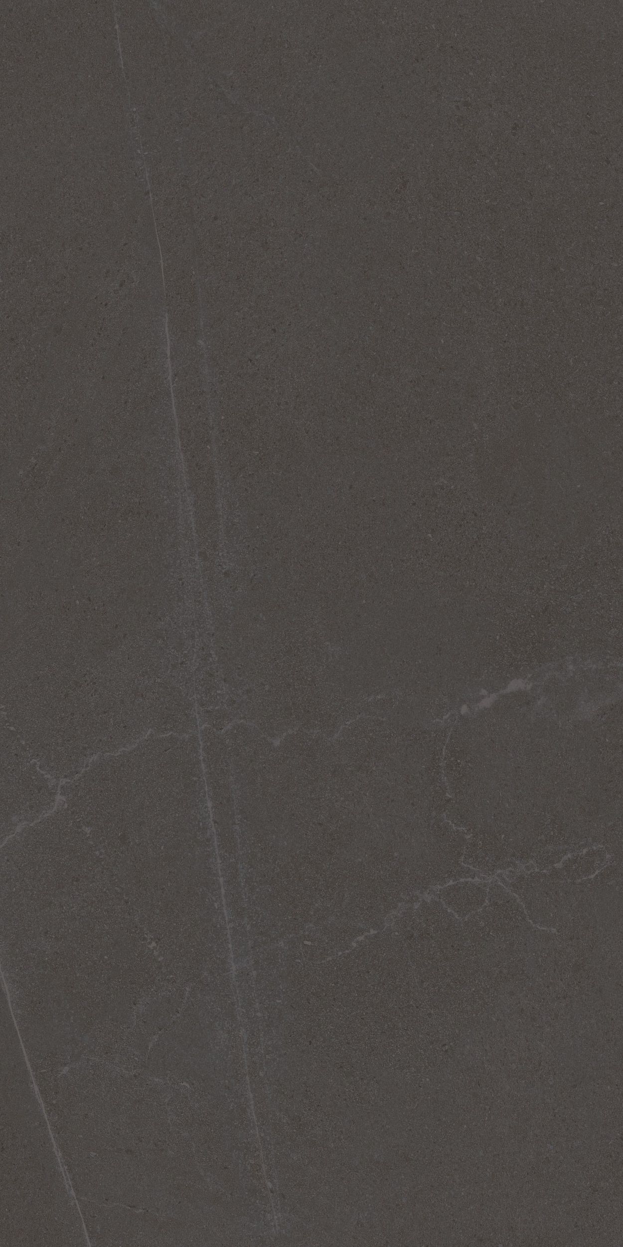 Floor Tiles Seine Cemento 24" x 48"