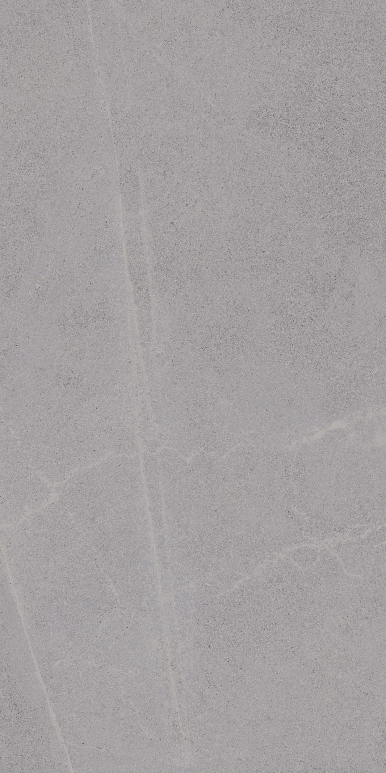 Floor Tiles Seine Gris 24" x 48"
