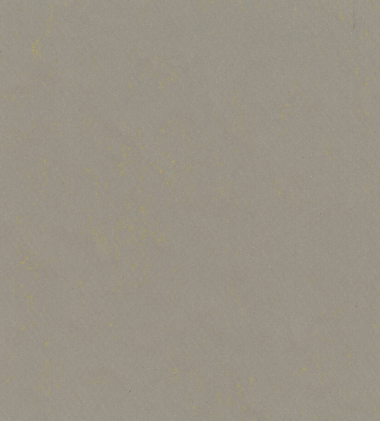 Linoleum Roll DLW Lino Art Urban #0551 Flashy Asphalt Grey 2 m x 31 m - 2.5 mm