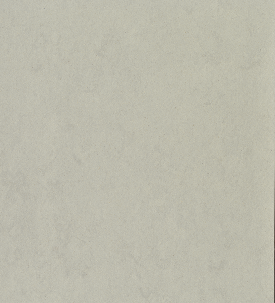 Linoleum Roll DLW Lino Art Urban #0552 Silver Grey 2 m x 31 m - 2.5 mm