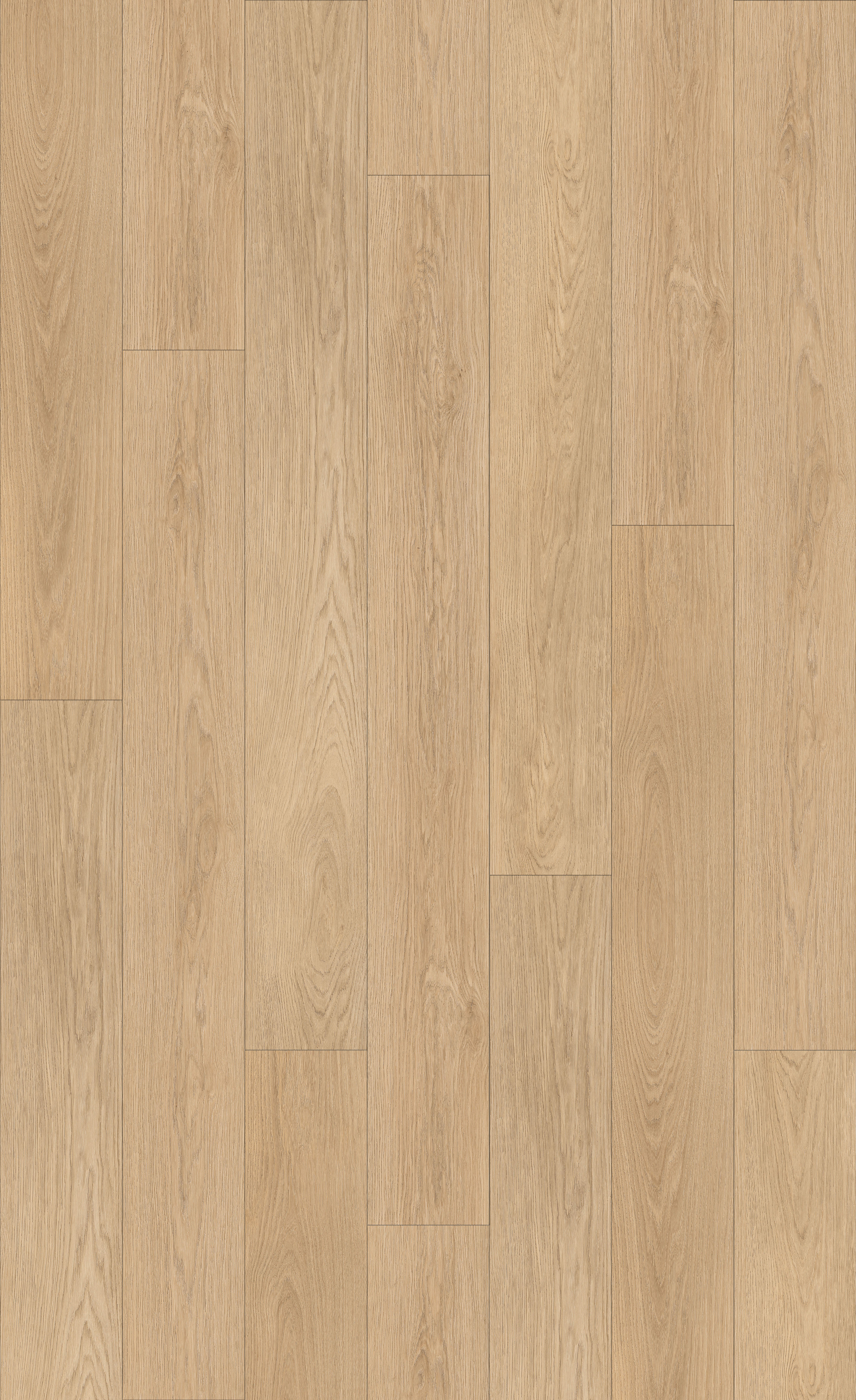 Taiga - Vinyl Planks Aquila Beauty Click Lock 7