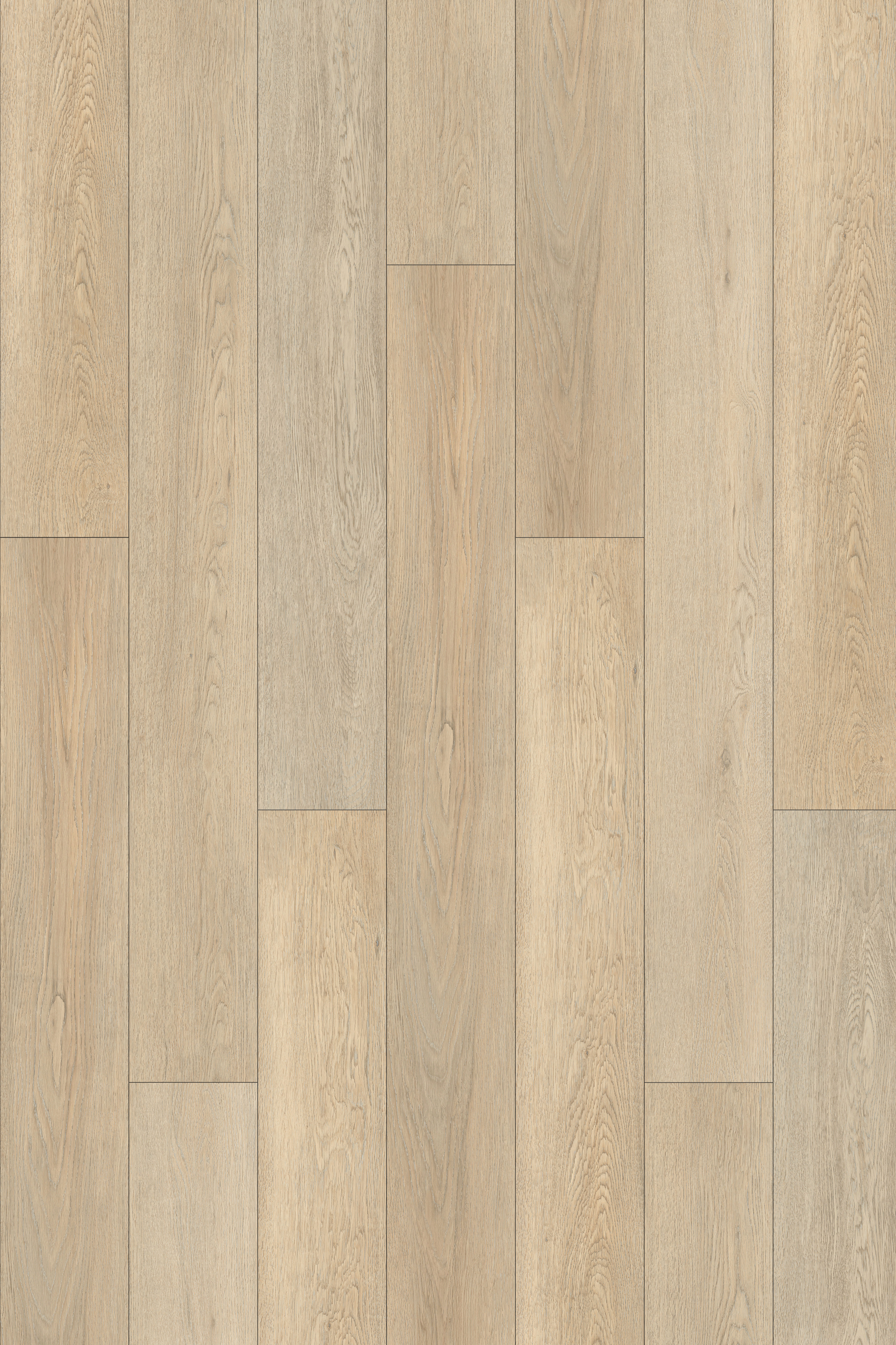 Taiga - Vinyl Planks Aquila Focus Click Lock 7