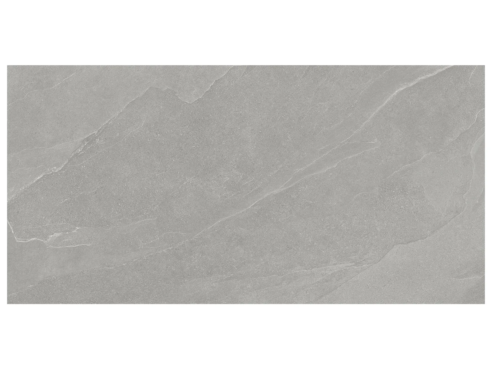 Floor Tiles Nord Palladium Matte 24" x 48"