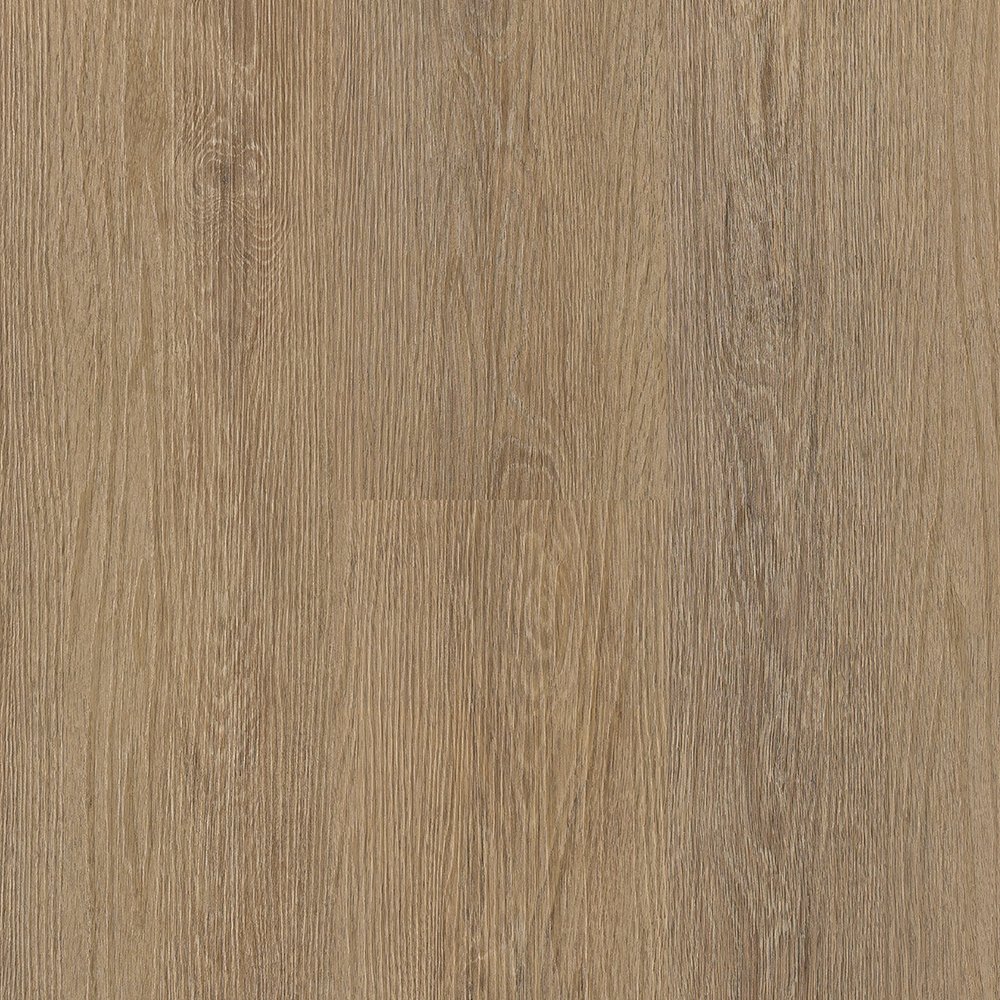 Planches de vinyle Medalist Summer Truffle Oak Collé au sol 7-1/4" x 48"