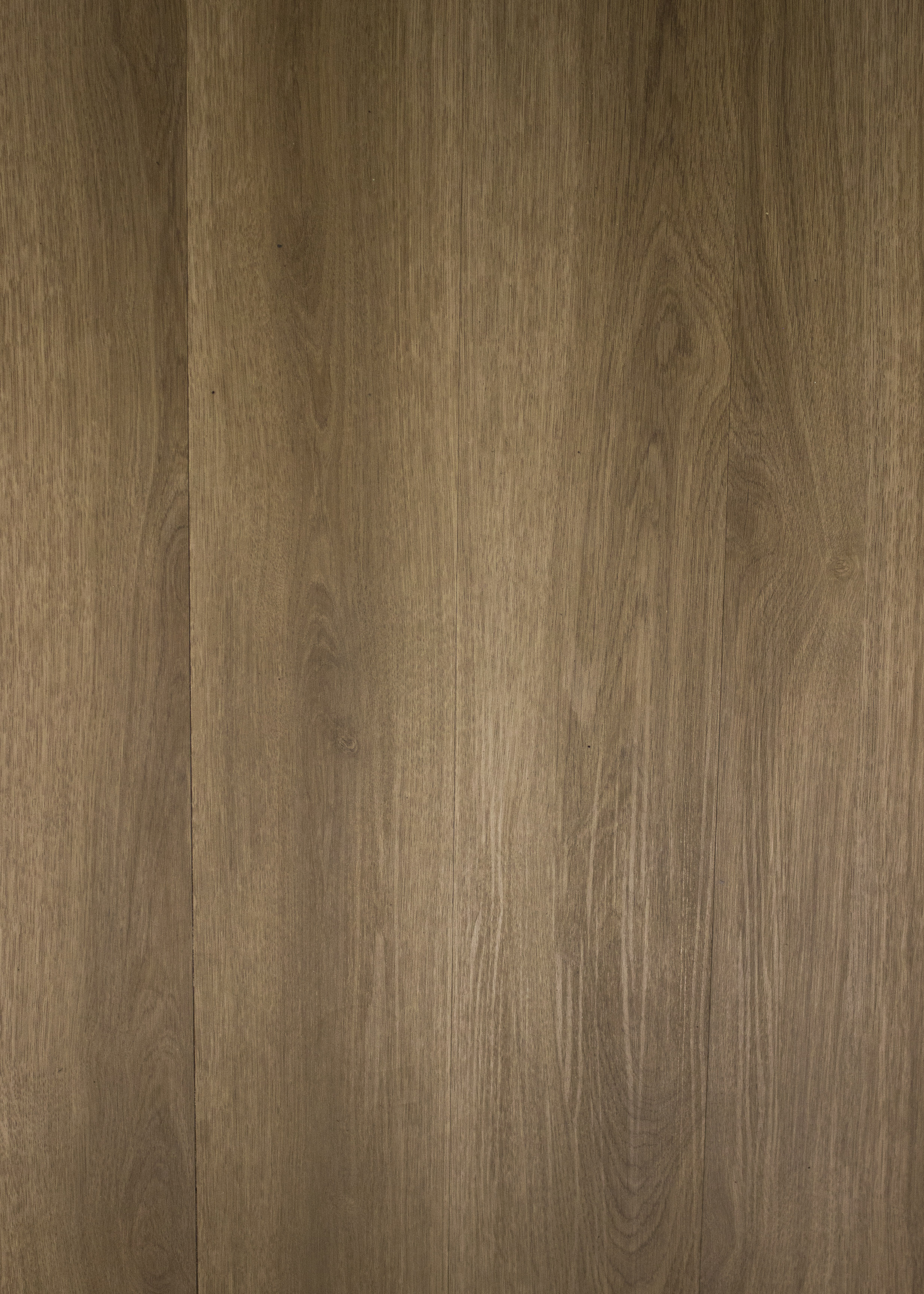 Vinyl Plank Belleview Capilano Glue Down 6" x 48"