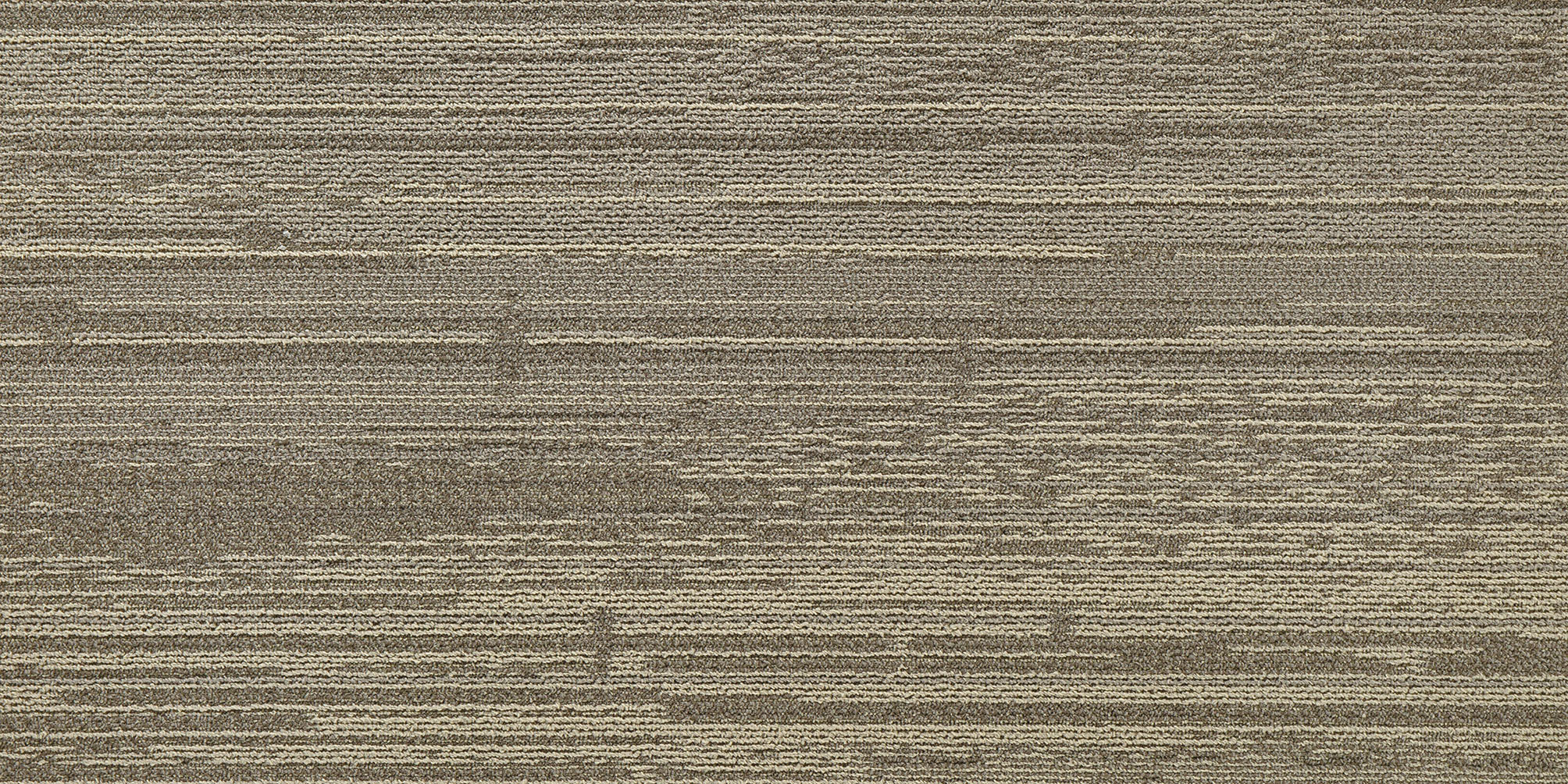 Carpet Plank Context Beachfront 20" x 40"