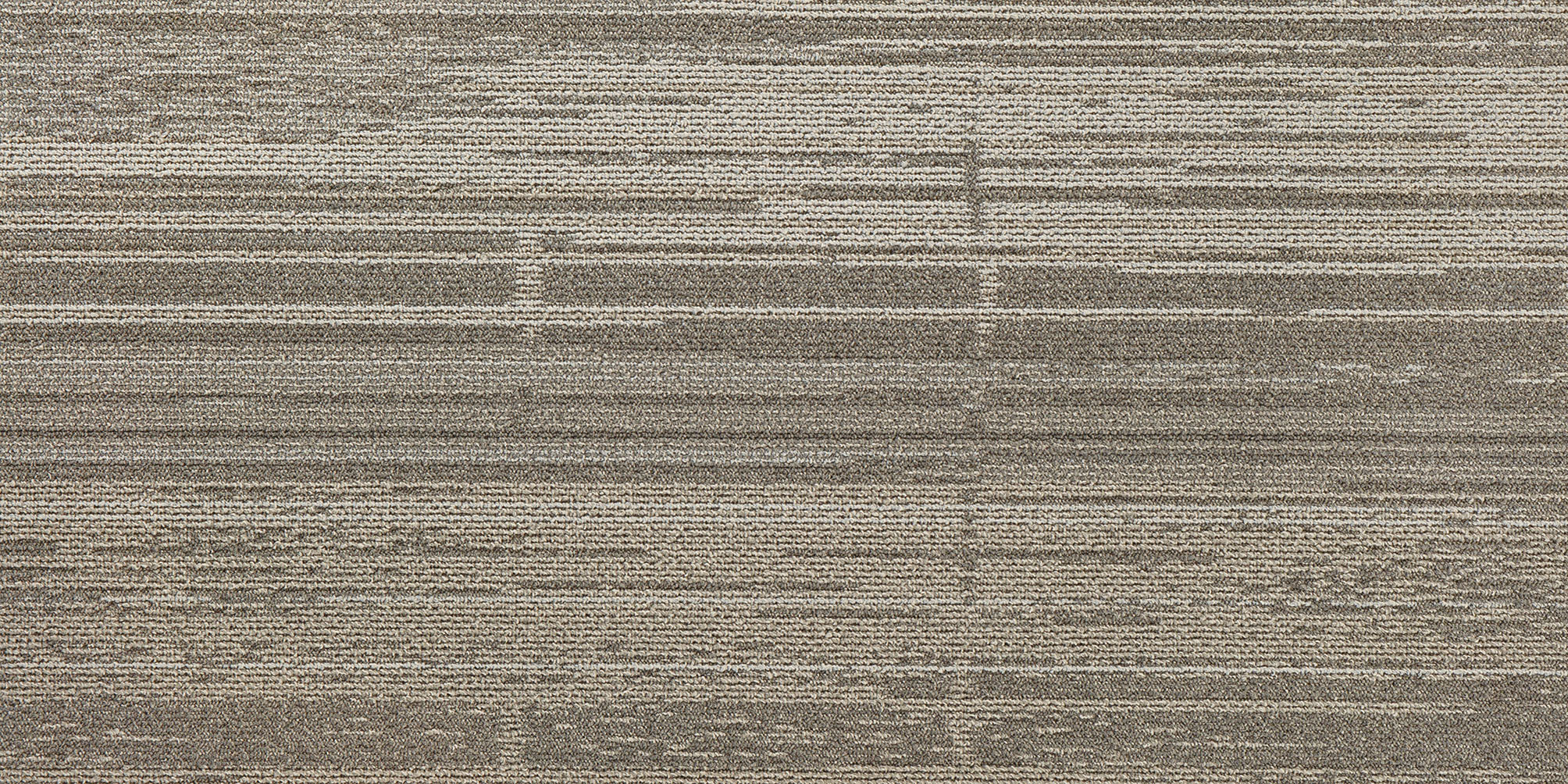 Carpet Plank Context Silver Dollar 20" x 40"
