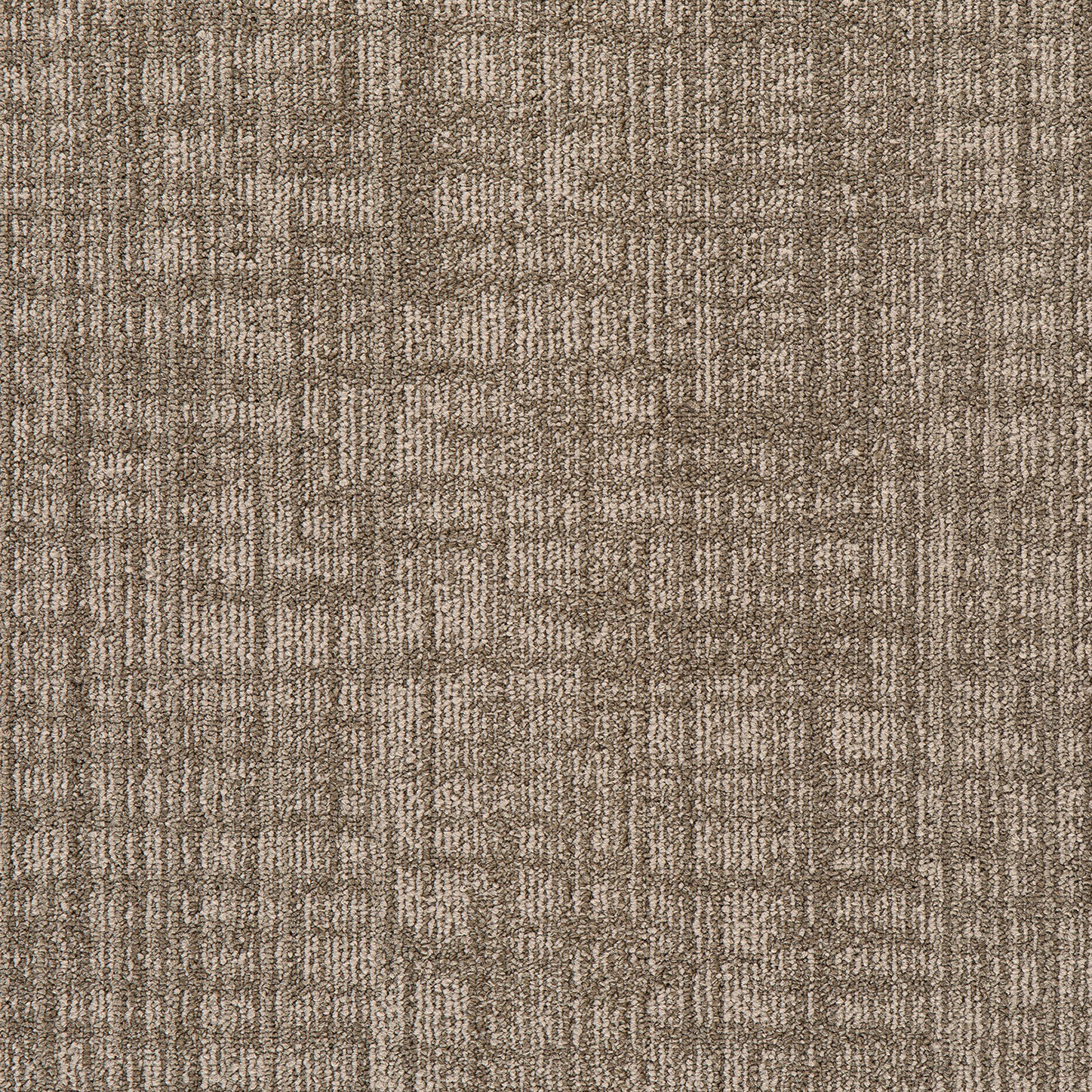 Carpet Tile Invincible Tortoise 20" x 20"