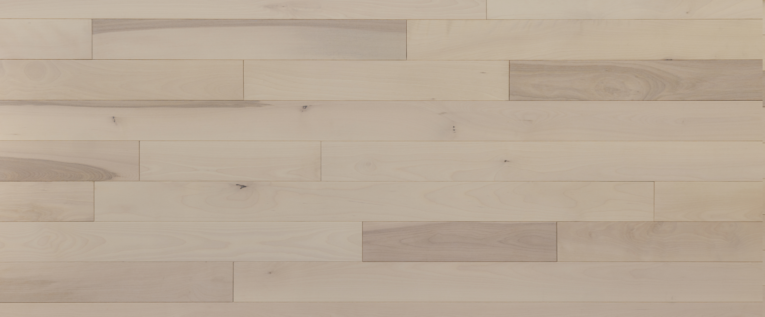Hardwood Alta Moda Birch Excel Chiffon 4-1/4" - 3/4"