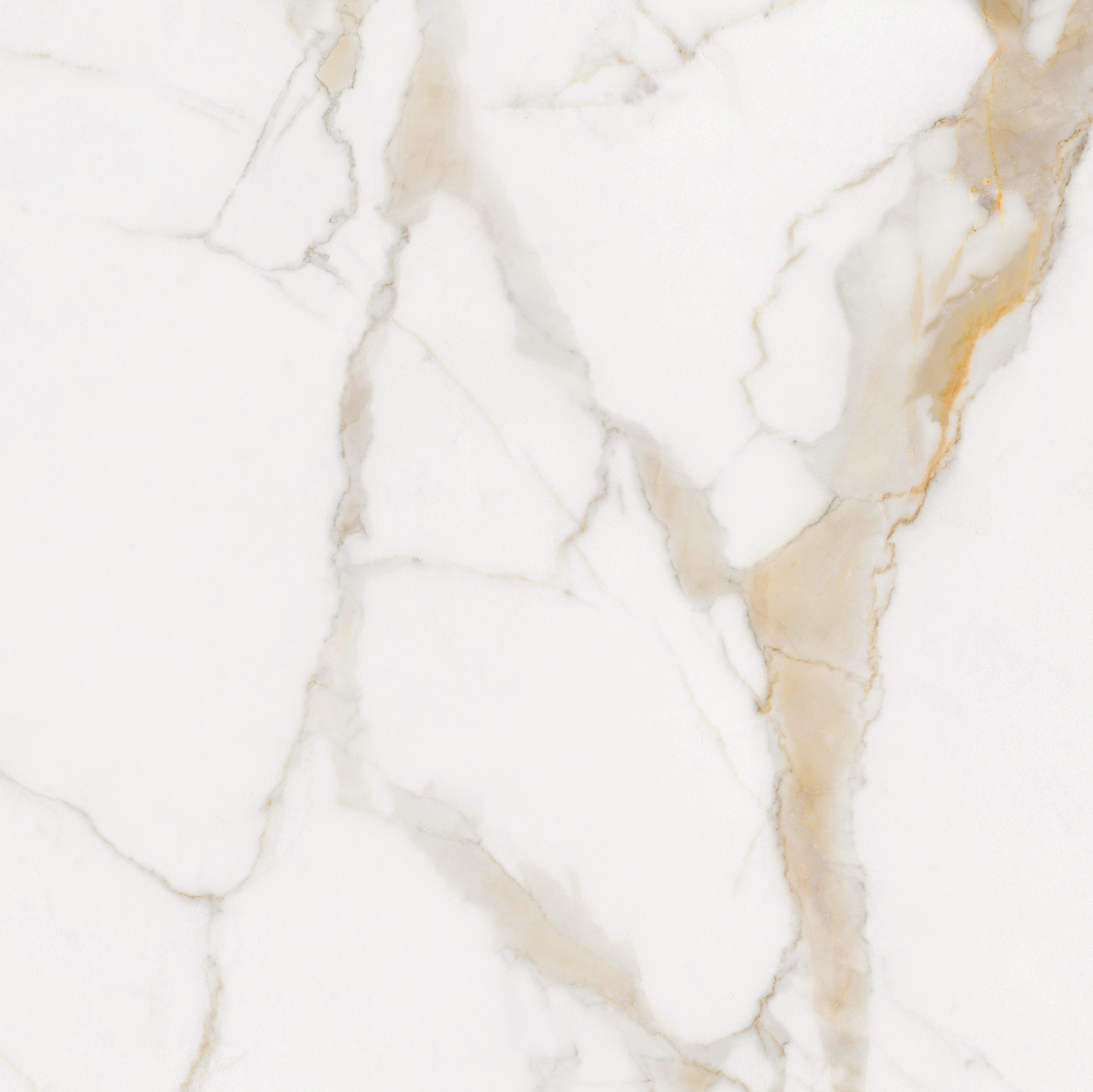 Floor Tiles Marmo Calacatta Gold Poli 24" x 24"