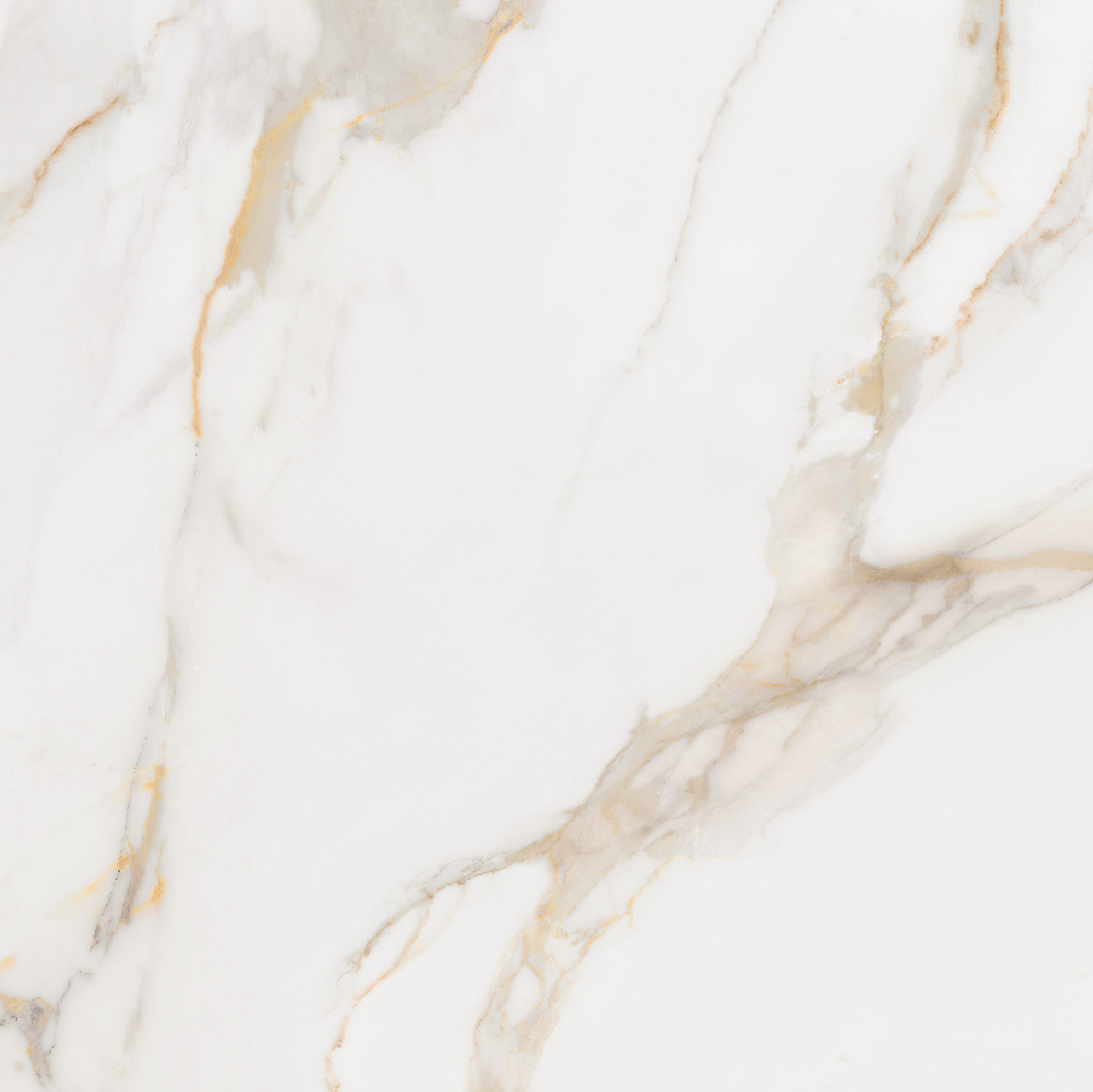 Floor Tiles Marmo Calacatta Gold Honed 24" x 24"