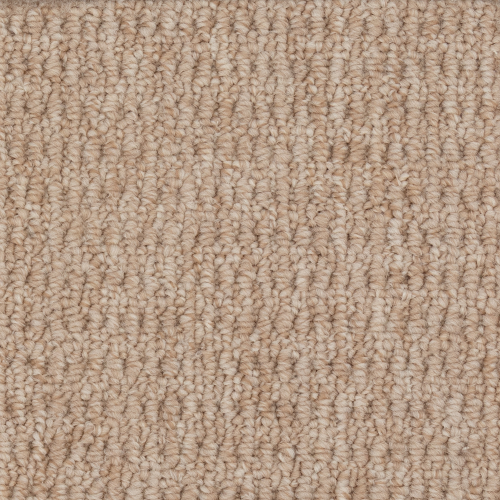Broadloom Carpet InnoFibe - Fleury #14729 Tender Taupe 12' (Sold in Sqyd)