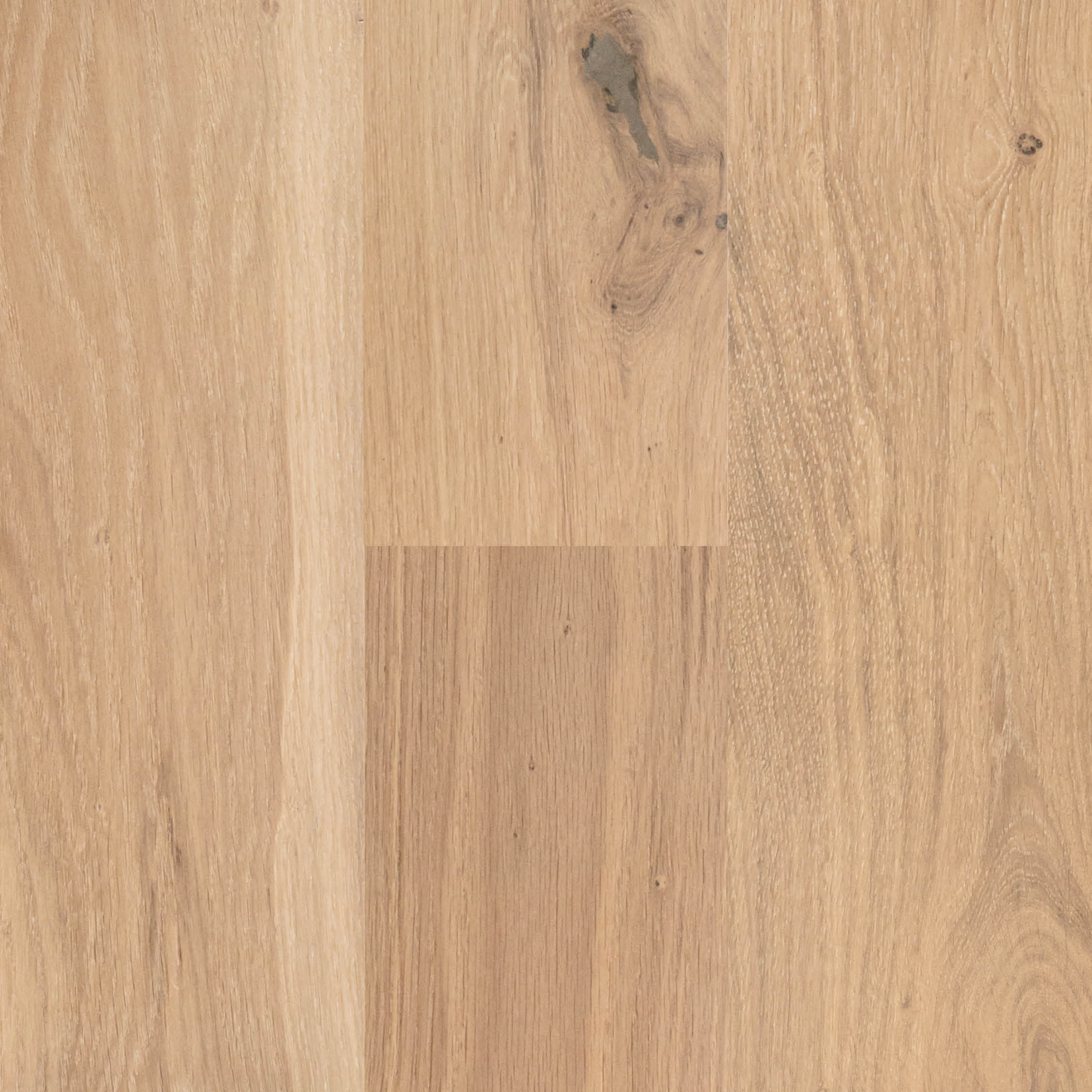 Bois d'ingénierie Nob Hill Tan Oak 6-1/2" - 3/4"
