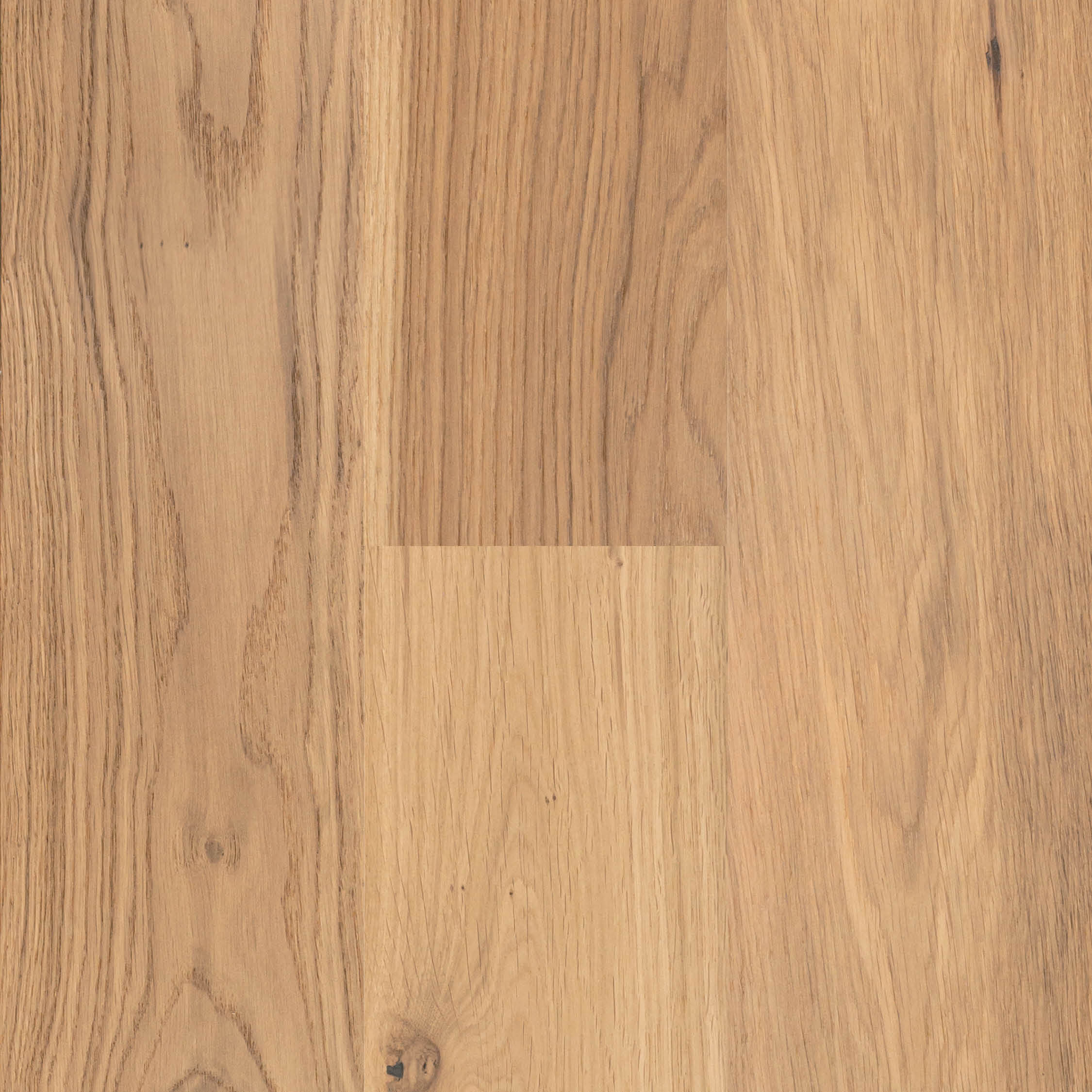 Bois d'ingénierie Nob Hill Tawny Oak 6-1/2" - 3/4"