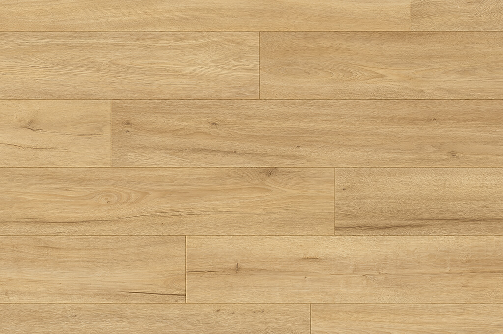 Laminate Flooring Country Asheville Oak 7-9/16" x 49-5/8" - 5/16" (8 mm)