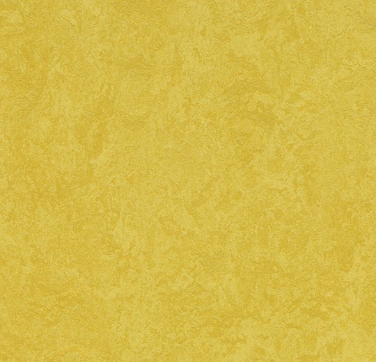 Gym Flooring Marmoleum Sport Yellow 79" (Sold in Sqyd)