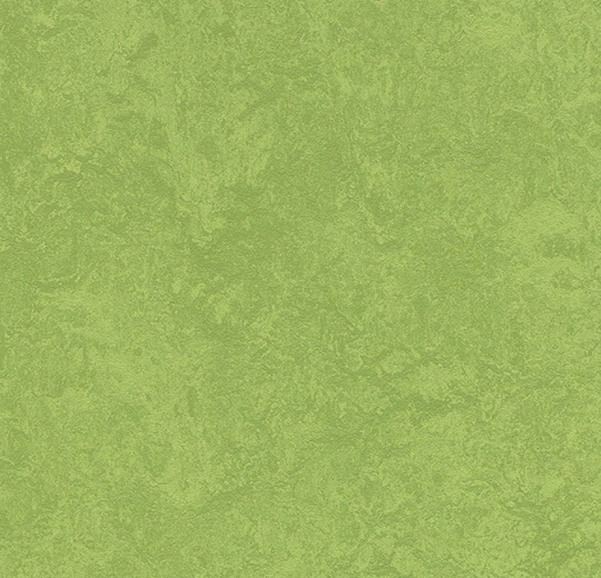 Gym Flooring Marmoleum Sport Green 79" (Sold in Sqyd)