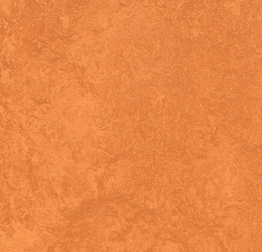 Gym Flooring Marmoleum Sport Orange 79" (Sold in Sqyd)
