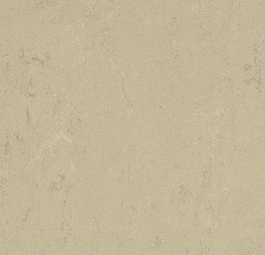 Rouleau de marmoléum Solid Concrete Titan 79" - 2.5 mm (vendu en vg²)