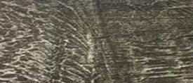 Moulure en T en MDF laminé fini #188 1-3/4" x 1/4" x 6'