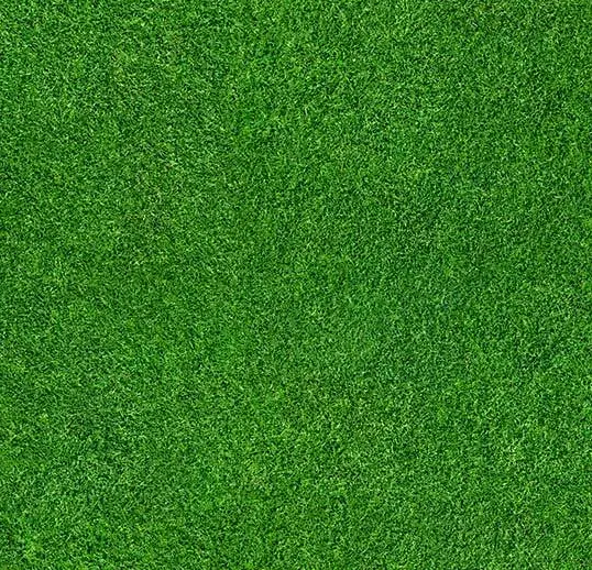 Flotex Roll Vision Grass 79" x 98.4'