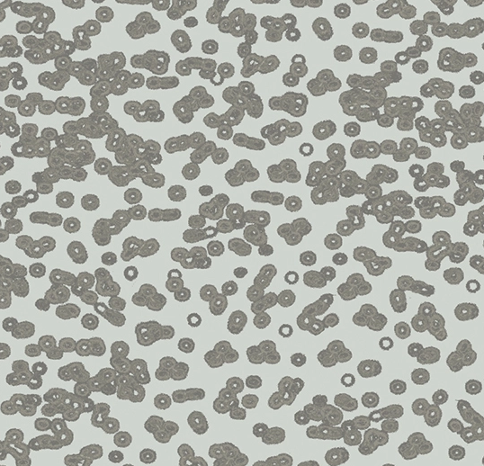 Flotex Roll Vision #990201 Bacteria 79" x 98.4'