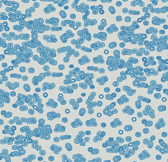 Flotex Roll Vision #990202 Bacteria 79" x 98.4'
