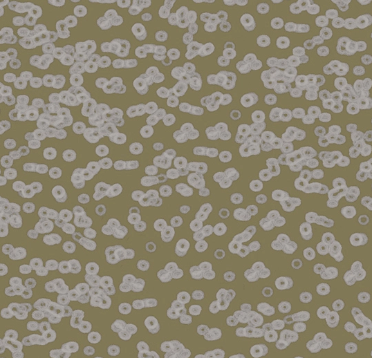 Flotex Roll Vision #990401 Bacteria 79" x 98.4'