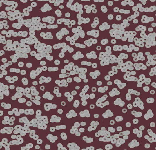 Flotex Roll Vision #990402 Bacteria 79" x 98.4'