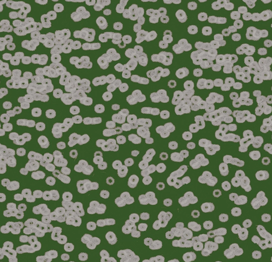 Flotex Roll Vision #990403 Bacteria 79" x 98.4'